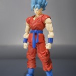 SH Figuarts Super Saiyan God Goku
