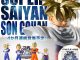 BLOOD OF SAIYANS -Super Saiyan Son Gohan- II